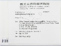多孔菌屬藏品圖，第2張