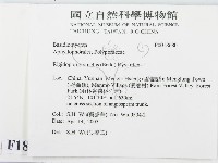 登錄號:F0018680藏品圖，第2張