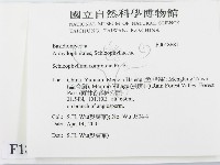 裂褶菌藏品圖，第2張