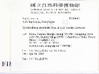 登錄號:F0018682藏品圖，第2張