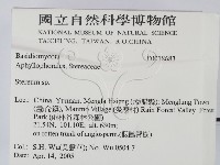 韌革菌屬藏品圖，第2張