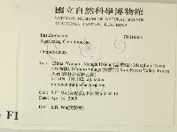 登錄號:F0018684藏品圖，第2張