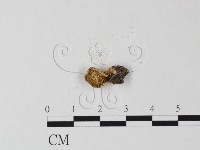 登錄號:F0018684藏品圖，第1張