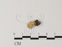 登錄號:F0018684藏品圖，第3張