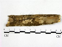 登錄號:F0018685藏品圖，第1張