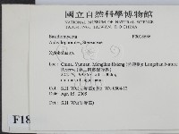 登錄號:F0018686藏品圖，第2張