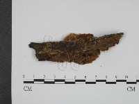 登錄號:F0018686藏品圖，第3張