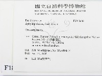 登錄號:F0018688藏品圖，第2張
