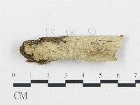 登錄號:F0018688藏品圖，第1張