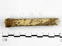 登錄號:F0018689藏品圖，第1張
