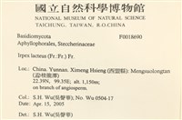 館號:F0018690藏品圖，第2張