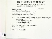 毛木耳藏品圖，第2張