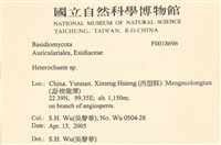 刺皮菌屬藏品圖，第2張