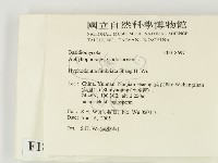 登錄號:F0018697藏品圖，第2張