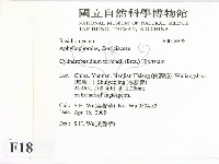 登錄號:F0018698藏品圖，第2張