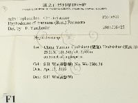 登錄號:F0018699藏品圖，第2張