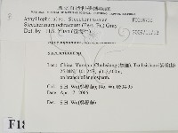 登錄號:F0018700藏品圖，第2張