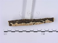 登錄號:F0018700藏品圖，第3張