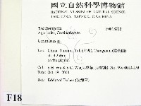 登錄號:F0018702藏品圖，第2張