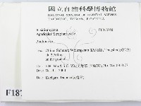 登錄號:F0018703藏品圖，第2張