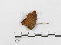登錄號:F0018703藏品圖，第3張