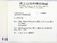 登錄號:F0018704藏品圖，第2張
