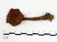 登錄號:F0018704藏品圖，第1張