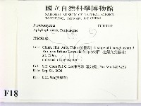 射脈菌屬藏品圖，第2張