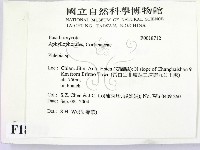 射脈菌屬藏品圖，第2張