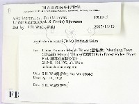 登錄號:F0018713藏品圖，第2張