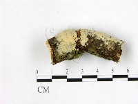 登錄號:F0018713藏品圖，第1張