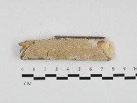 登錄號:F0018716藏品圖，第1張