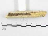 登錄號:F0018716藏品圖，第4張