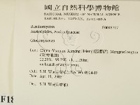 登錄號:F0018717藏品圖，第2張