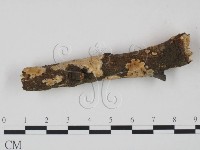 登錄號:F0018717藏品圖，第1張