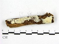 登錄號:F0018718藏品圖，第1張