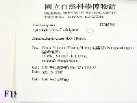 登錄號:F0018719藏品圖，第2張