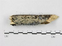 登錄號:F0018721藏品圖，第1張