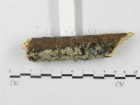 登錄號:F0018721藏品圖，第3張