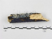 登錄號:F0018721藏品圖，第5張