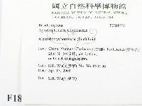 登錄號:F0018723藏品圖，第2張