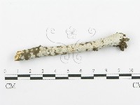 登錄號:F0018723藏品圖，第3張