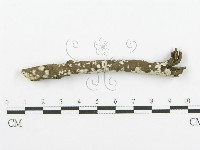 登錄號:F0018723藏品圖，第4張