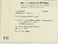 登錄號:F0018724藏品圖，第2張