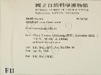 登錄號:F0018726藏品圖，第2張