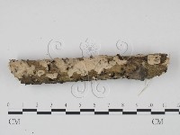 登錄號:F0018726藏品圖，第1張