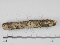 登錄號:F0018726藏品圖，第3張