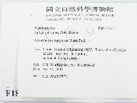 登錄號:F0018727藏品圖，第2張
