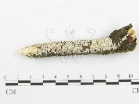 登錄號:F0018727藏品圖，第1張