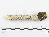 登錄號:F0018727藏品圖，第3張